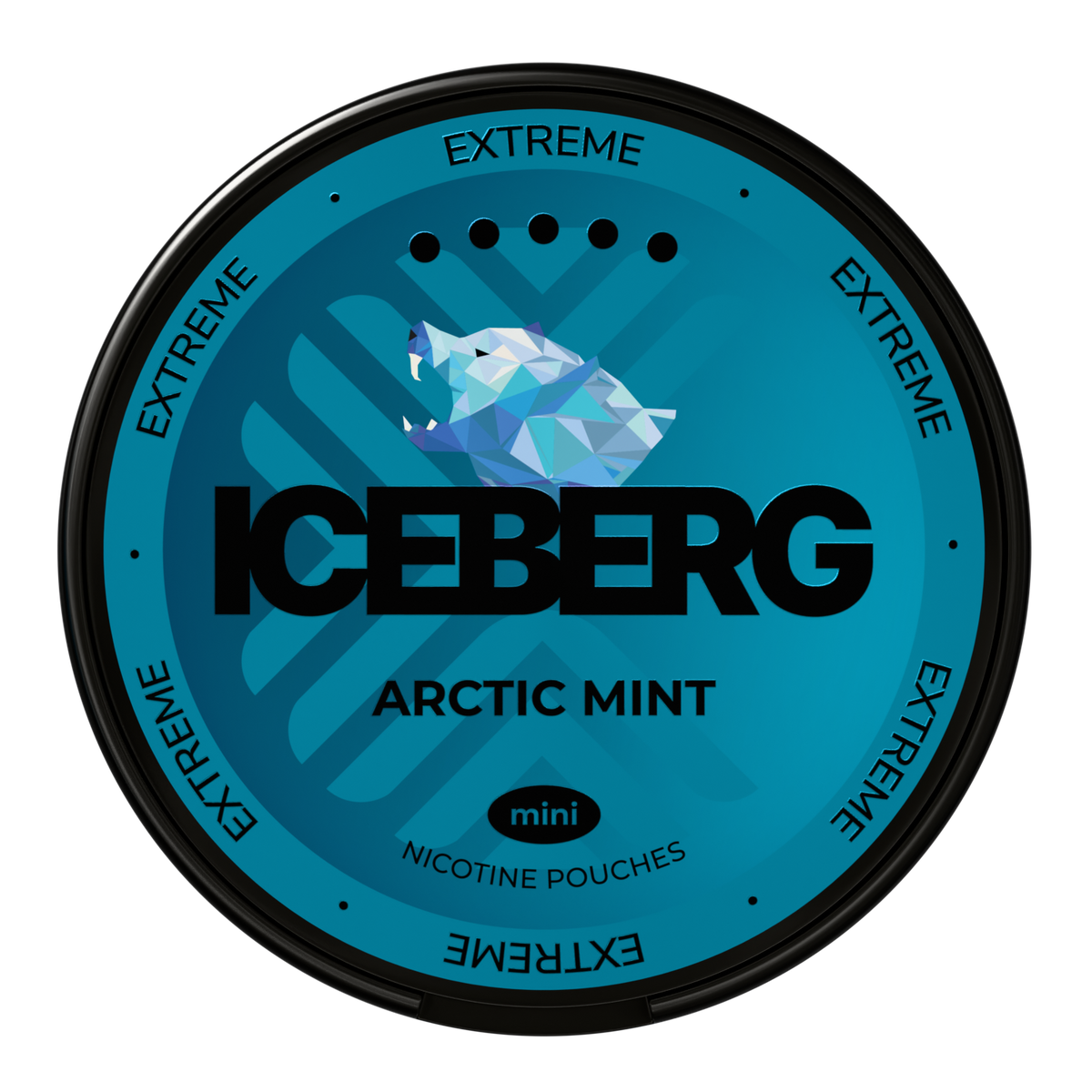 ICEBERG Arctic Mint Mini 50mg