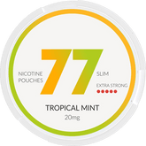 77 POUCHES Tropical Mint