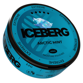 ICEBERG Arctic Mint Mini 50mg