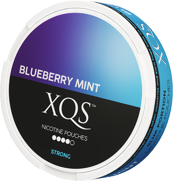 XQS Blueberry Mint – 20mg/g